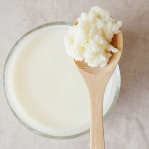 Kefir für Hunde