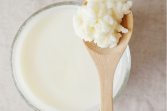 Kefir für Hunde