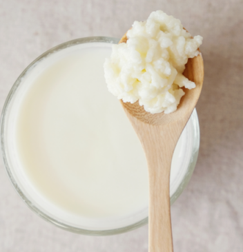 Kefir für Hunde