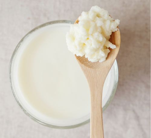 Kefir für Hunde