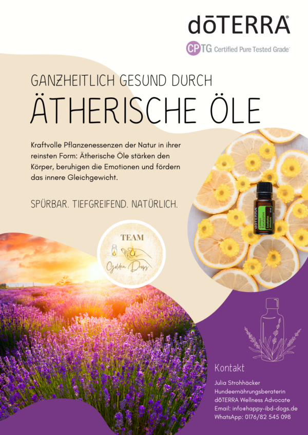 Kostenlos: Flyer doTERRA ätherische Öle (PDF)